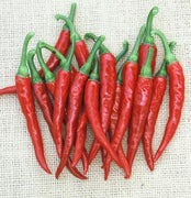 Ring of Fire Cayenne Pepper Seeds, Garden Vegetables