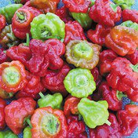 Mushroom Red Cap Pepper Seeds, Heirloom Chili Garden Vegetables