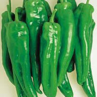 Spanish Spice Pepper Seeds, Mediterranean Flavor Garden Vegetables