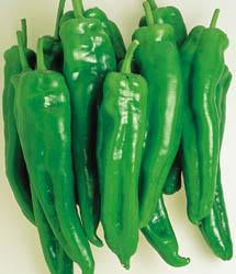 Spanish Spice Pepper Seeds, Mediterranean Flavor Garden Vegetables
