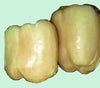 Diamond Ivory Crunchy Bell Pepper Seeds, Attractive Garden Vegetables