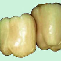 Diamond Ivory Crunchy Bell Pepper Seeds, Attractive Garden Vegetables