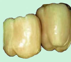 Diamond Ivory Crunchy Bell Pepper Seeds, Attractive Garden Vegetables