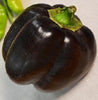 Bella Noir Mild Sweet Bell Pepper Seeds, Bold Garden Vegetables
