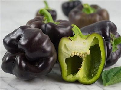 Midnight Dream Pepper Seeds, Ebony Black Garden Vegetables