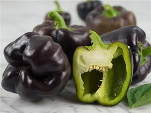 Midnight Dream Pepper Seeds, Ebony Black Garden Vegetables