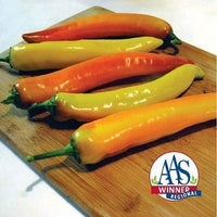 Sweet Sunset Sweet Banana Pepper Seeds - Treated - Crunchy Garden Vegetables