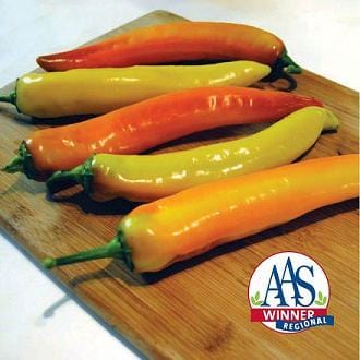 Sweet Sunset Sweet Banana Pepper Seeds - Treated - Crunchy Garden Vegetables