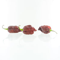 Purple Reaper Chili Pepper Seeds, Heated Garden Vegetables