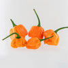 Peach Scotch Bonnet Pepper Seeds, Caribbean Garden Vegetables