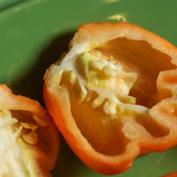 Peach Scotch Bonnet Pepper Seeds, Caribbean Garden Vegetables