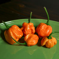 Peach Scotch Bonnet Pepper Seeds, Caribbean Garden Vegetables