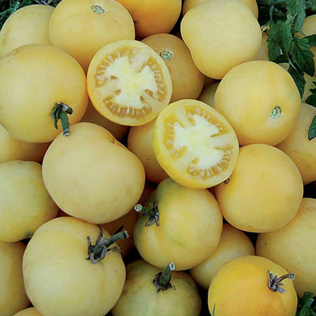 Wapsipinicon Peach Tomato Seeds, Unique Garden Vegetables