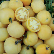 Wapsipinicon Peach Tomato Seeds, Unique Garden Vegetables