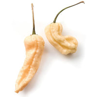 Peach Ghost Pepper Seeds, Garden Vegetables