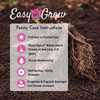Peony 1 Root / Tuber - Alba Plena By Easy To Grow Bulbs