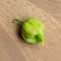 I Scream Scorpion Pepper Seeds, Garden Vegetables