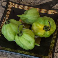 I Scream Scorpion Pepper Seeds, Garden Vegetables