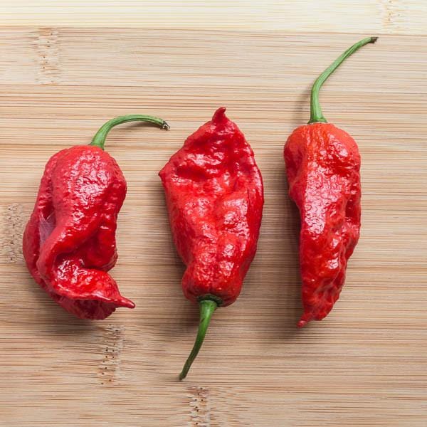 King Naga Pepper Seeds, High Heat Indian Garden Vegetables