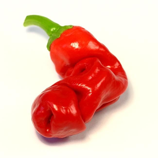 Iconic Peter Pepper Seeds, Novelty Garden Vegetables