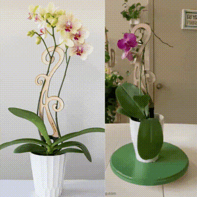 BARE™ Flora™ - Customizable Wooden Plant Support - Perfect For Orchids