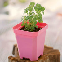 5" Heavy Duty Nursery Pots By Bootstrap Farmer MADE IN THE USA