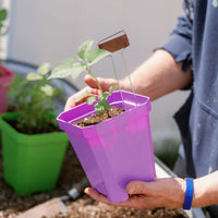 5" Heavy Duty Nursery Pots By Bootstrap Farmer MADE IN THE USA