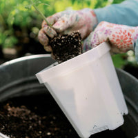 5" Heavy Duty Nursery Pots By Bootstrap Farmer MADE IN THE USA