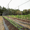 Trellis Garden Netting | 6" Mesh By Bootstrap Farmer