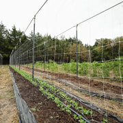 Trellis Garden Netting | 6" Mesh By Bootstrap Farmer