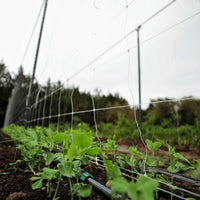 Trellis Garden Netting | 6" Mesh By Bootstrap Farmer