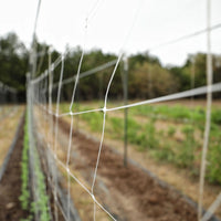 Trellis Garden Netting | 6" Mesh By Bootstrap Farmer