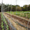 Trellis Garden Netting | 6" Mesh By Bootstrap Farmer