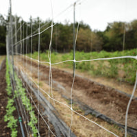 Trellis Garden Netting | 6" Mesh By Bootstrap Farmer