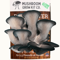 3 Pack - Premium Lion's Mane, Pink, and Blue Oyster Mushroom Growing Kit - 15 LBS