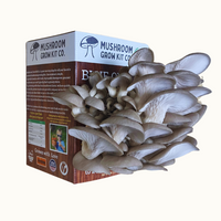 Premium Blue Oyster Mushroom Growing Kit - 5 LBS