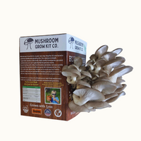 Premium Blue Oyster Mushroom Growing Kit - 5 LBS