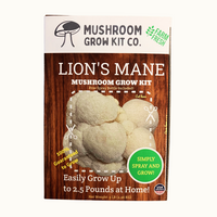 Premium Lion's Mane Mushroom Growing Kit - 5 LBS