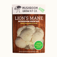 Premium Lion's Mane Mushroom Growing Kit - 5 LBS