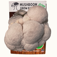3 Pack - Premium Lion's Mane, Pink, and Blue Oyster Mushroom Growing Kit - 15 LBS