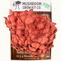 3 Pack - Premium Lion's Mane, Pink, and Blue Oyster Mushroom Growing Kit - 15 LBS
