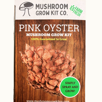 Premium Pink Oyster Mushroom Growing Kit - 5 LBS