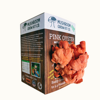 Premium Pink Oyster Mushroom Growing Kit - 5 LBS
