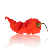 Primotalii Red Pepper Seeds, Extremely HOT Chilis Garden Vegetables