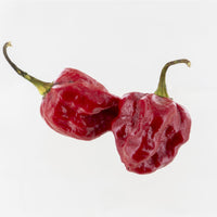 Rare Purple Ghost Scorpion Pepper Seeds, Serious Heat Garden Vegetables