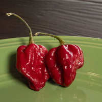 Rare Purple Ghost Scorpion Pepper Seeds, Serious Heat Garden Vegetables