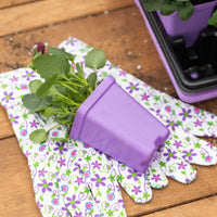 Seed Starter Pots - 2.5" Extra Strength By Bootstrap Farmer