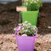 5" Heavy Duty Nursery Pots By Bootstrap Farmer MADE IN THE USA
