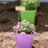 5" Heavy Duty Nursery Pots By Bootstrap Farmer MADE IN THE USA