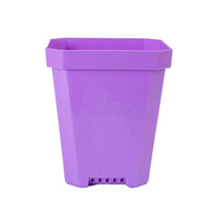 5" Heavy Duty Nursery Pots By Bootstrap Farmer MADE IN THE USA